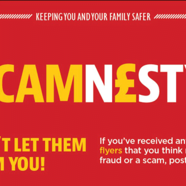 SCAMNESTY
