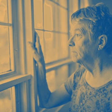 What Can I Do About Damp and Mould in My Rented Property?